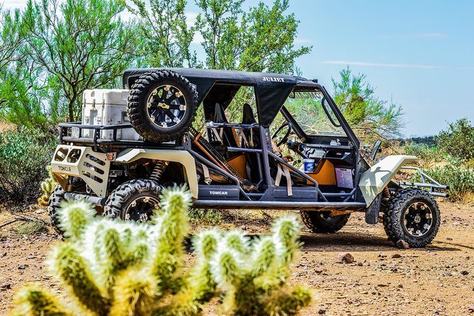 3 Hour Guided TomCar ATV Experience in Sonoran Desert - Desert Talks With Real Payoff: Plants, Animals, and Quick Demos