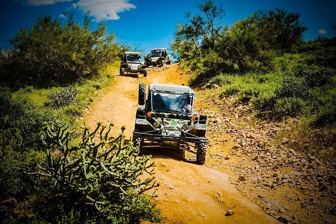3 Hour Guided TomCar ATV Experience in Sonoran Desert - Price and Value: Is $236.62 Worth It?