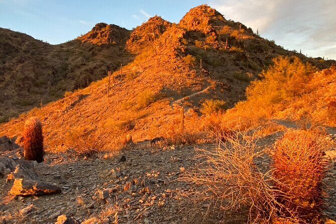 Amazing 2-Hour Guided Hiking Adventure in Phoenix, Arizona - Starbucks meetup and what you’ll have for the hike