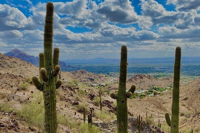 Amazing 2-Hour Guided Hiking Adventure in Phoenix, Arizona - When to go, and how to get the most out of it
