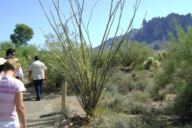 Apache Trail and Dolly Steamboat Van Tour - Tortilla Flat lunch in a town of about six
