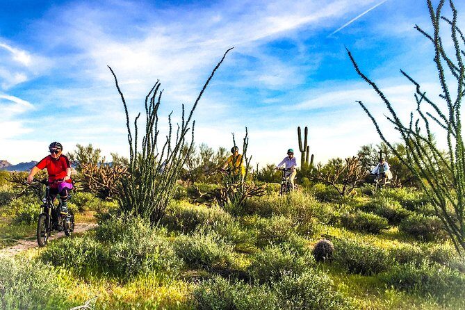 Arizona Desert Guided E-Bike Adventure - Meeting at Limon Urban Kitchen: Getting Ready for a 2–3 Hour Desert Session