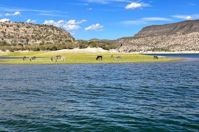 Boat Tour in Lake Pleasant, Arizona - Where you meet, where you board, and why directions matter