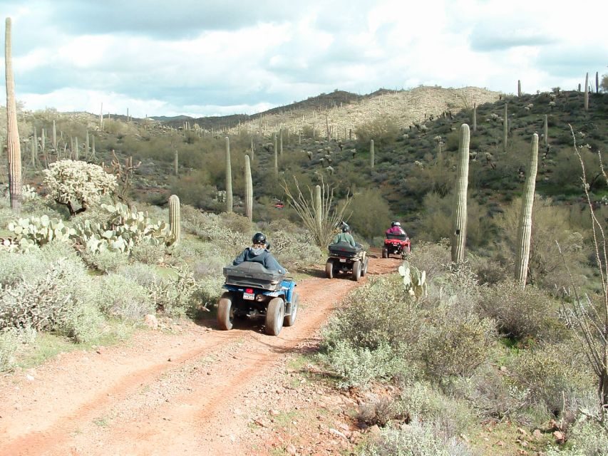 Box Canyon and Pinal Mountains Half-Day ATV Tour - The Pinal Mountains ride: 30 miles of dirt, climbs, and petroglyph spotting