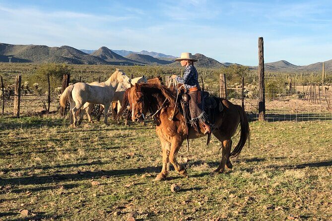 Contact us to book your time. Best Trail Rides in Arizona. - Key Things That Make This Phoenix Trail Ride Worth Your Time