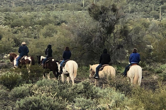 Contact us to book your time. Best Trail Rides in Arizona. - A Private 75-Minute Desert Ride From Phoenix