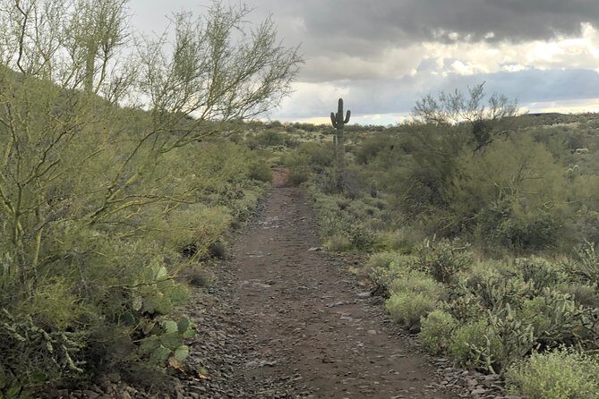Contact us to book your time. Best Trail Rides in Arizona. - What You’ll See on the Trail: Cactus Views, Desert Plants, and Quiet Moments