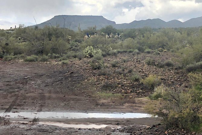 Contact us to book your time. Best Trail Rides in Arizona. - Transportation and Timing: Plan Ahead, Especially Near the Mountains