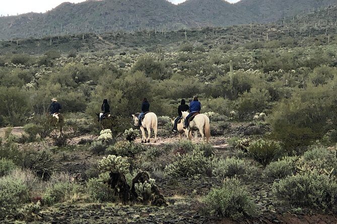 Contact us to book your time. Best Trail Rides in Arizona. - Price and Value: What $125 Buys You in Phoenix
