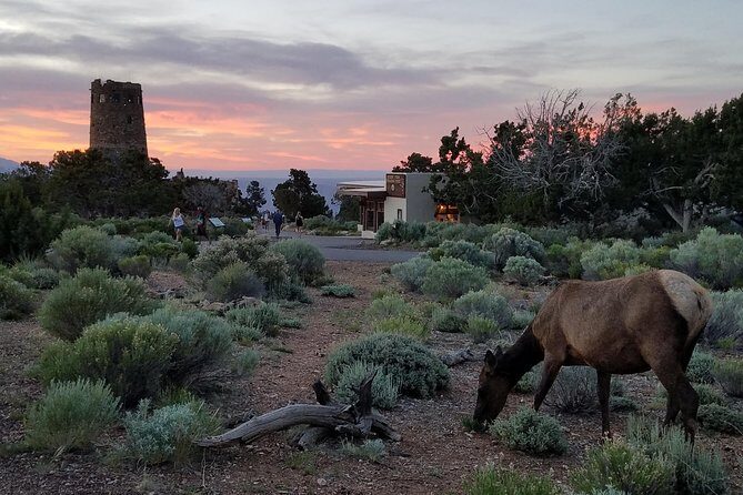 Custom Grand Canyon Day Trip - South Rim time: how the tour hits the big viewpoints (and keeps you moving)