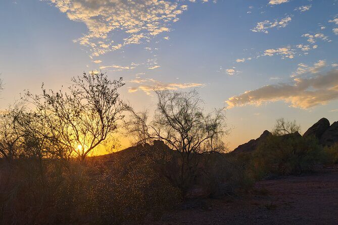 Desert Botanical Garden: Peaceful, All Inclusive Walking Tour PHX - Your 1 Hour 15 Minutes: Why the Timing Works