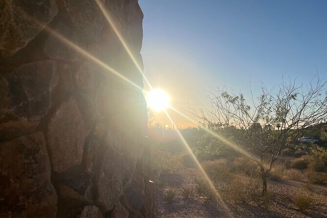 Desert Botanical Garden: Peaceful, All Inclusive Walking Tour PHX - When to Choose Sunset or Afternoon