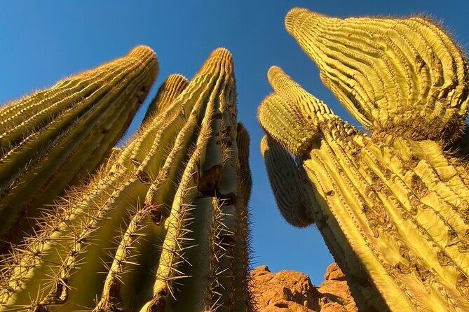 Epic Camelback Mountain Guided Hiking Adventure in Phoenix, Arizona - Why the summit views are the whole point (and why it’s hard to fake)