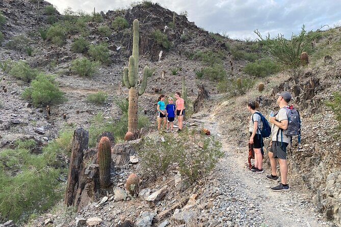 Family Fun Guided Hike in Phoenix, Arizona | Kids 10 & under free - Key highlights that make this hike a strong family pick