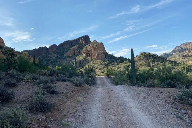 Four Peaks Off-Road Adventure Tour - High-Elevation Terrain: Giant Cactus to Boulders as You Gain Elevation