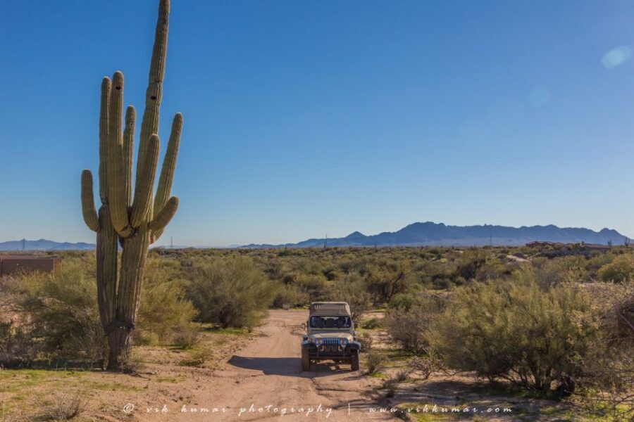 From Scottsdale: Sonoran Desert & Tonto National Forest Trip - Meeting at Pinnacle Peak: the easiest start you’ll have