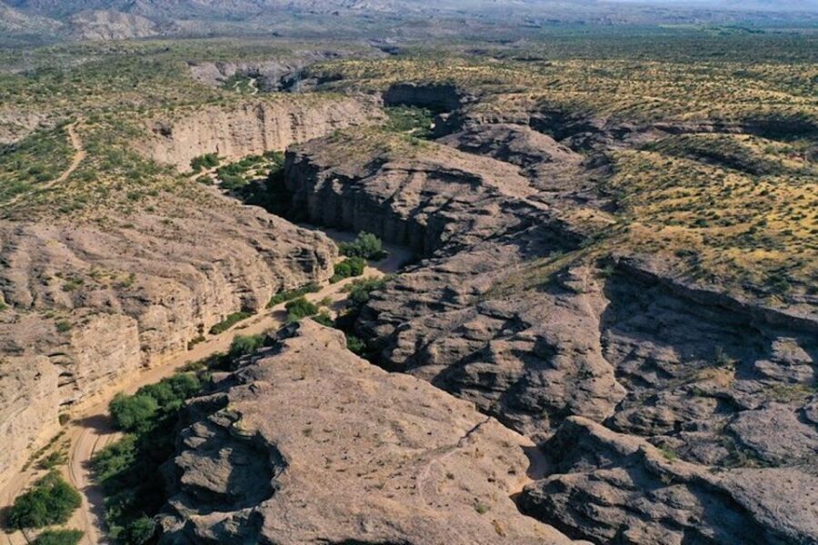 From Scottsdale: Sonoran Desert & Tonto National Forest Trip - The guided Sonoran Desert walk: cacti, survival, and real-world facts