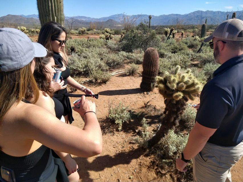 From Scottsdale: Sonoran Desert & Tonto National Forest Trip - Jeep time over the Sonoran Desert edge