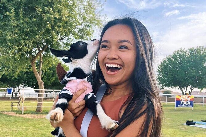 Goat and Alpaca Sound Bath - Gilbert Arizona - How the class flows: easy poses plus built-in animal-time