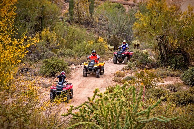 Guided Arizona Desert Tour by ATV - Centipede Tour - ATV Tour Highlights You’ll Feel Immediately