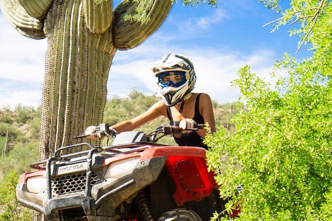 Guided Arizona Desert Tour by ATV - Centipede Tour - Wildlife Spotting: Why You Should Keep Your Eyes Up