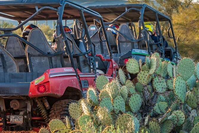 Guided Arizona Desert Tour by UTV - Centipede Tour - Vehicle Rules and What “Per Vehicle Booking” Means for Your Group