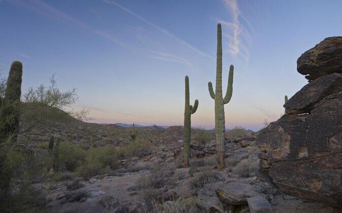 Guided Desert Sunrise or Evening/Sunset 2-Hour Hike at South Mtn - Pima Canyon Trailhead: your start line and first miles