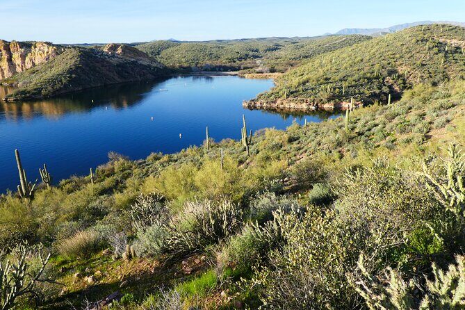 Guided Hike: Saguaro Lake View - Price and value: Is $95.46 worth it?