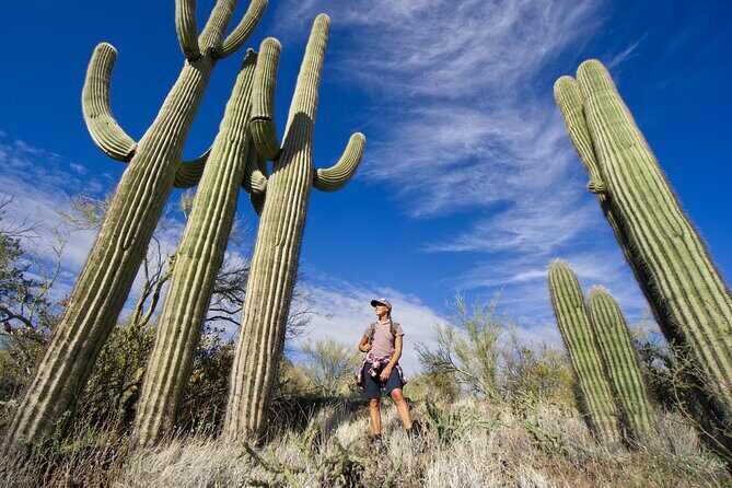 Incredible Hidden Valley Guided Hike in Phoenix, Arizona - How the Guide Adjusts the Adventure to You