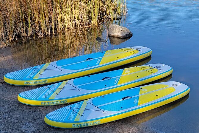 Inflatable Paddleboard Full-Day Rental - Transportation required - Entering the water with an inflatable board in Tempe