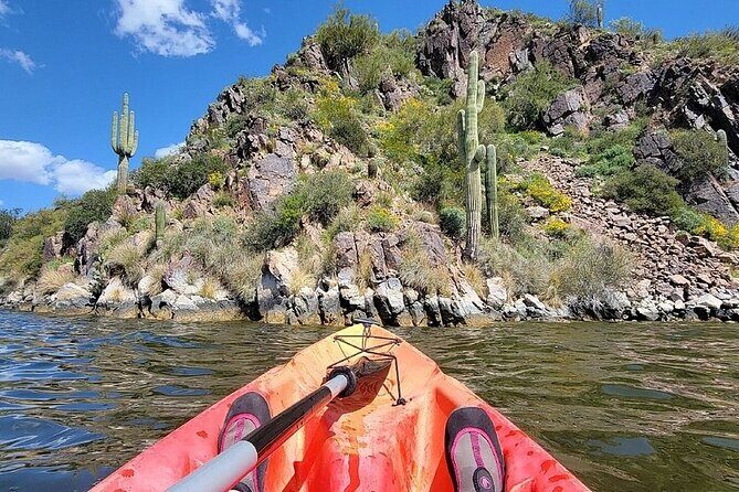 Kayaking 3 Hr Canyon & Cliffside on Saguaro Lake - The real value of this $45 price: equipment, time, and low hassle