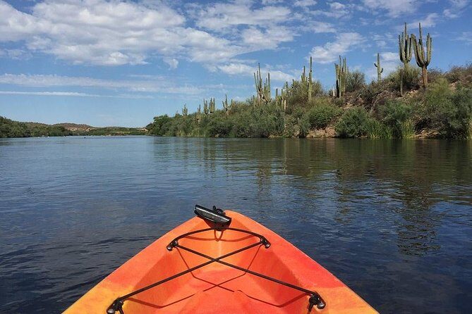 Kayaking the Salt River Foxtail Trip - Key points to know before you go