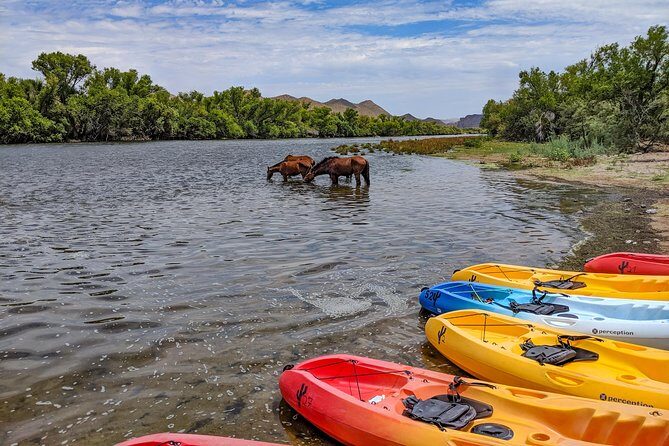 Kayaking the Salt River Foxtail Trip - Gear and limits: single kayaks, weight caps, and who should not go