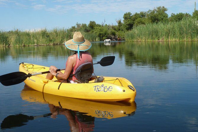 Kayaking the Salt River Foxtail Trip - Launch to Foxtail Administration Site: what the ride feels like