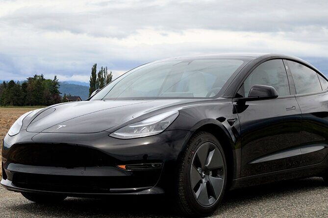 Luxury Private Tesla Transfer from Phoenix Airport to Hotels - Price Value: Is $51 Per Person a Smart Deal?