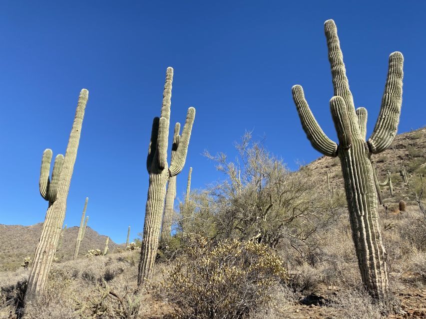 Phoenix: Amazing Two-Hour Guided Hike in the Sonoran Desert - The climb and the switchbacks: views over Phoenix, Scottsdale, and Camelback