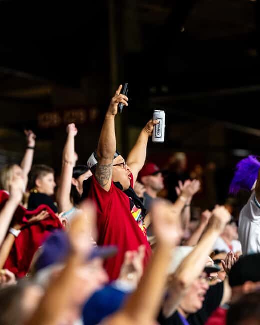 Phoenix: Arizona Diamondbacks Baseball Game at Chase Field - Chase Field: Air-Conditioned Baseball in the Desert