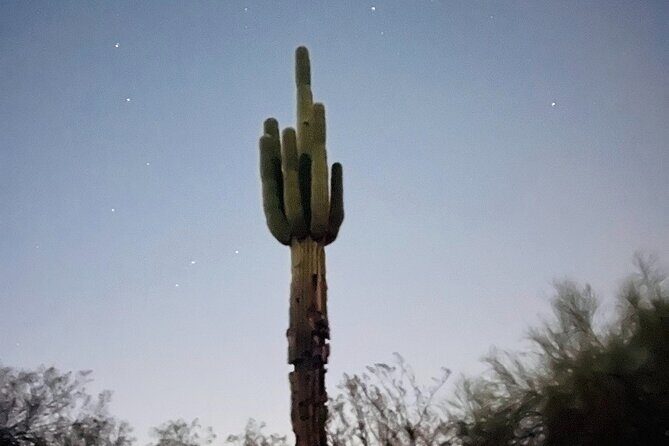 Phoenix Mountains Preserve Night Glow Hike - Key Things You’ll Notice on the Hike