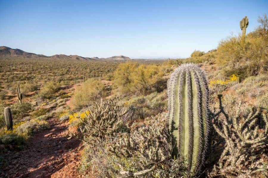 Phoenix/Scottsdale: Apache Trail Tour & Canyon Lake Cruise - Scottsdale pickup to Superstition Mountains: starting with the right kind of day