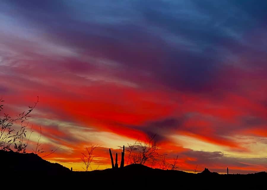 Phoenix: Sonoran Desert Guided Sunset Hike - The first climb: switchbacks, close-up mountains, and desert life