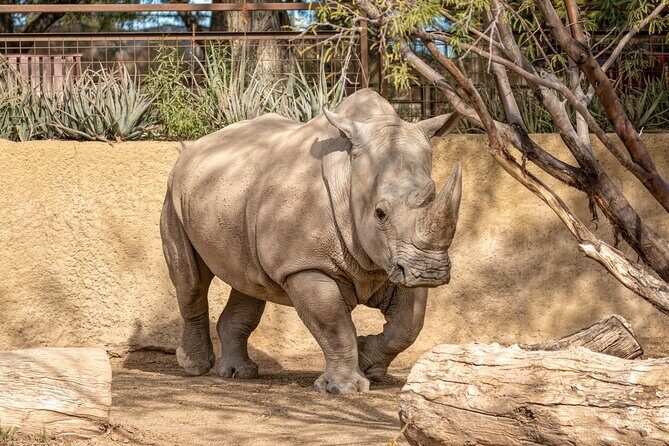 Phoenix Zoo Admission Ticket - Your One-Day Plan Inside the Zoo Grounds