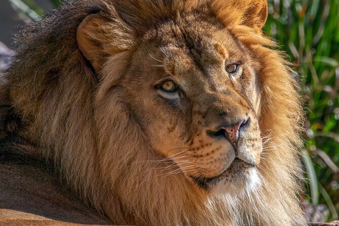 Phoenix Zoo Admission Ticket - Who This Ticket Fits Best