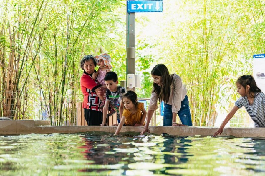 Phoenix Zoo One Day General Admission Ticket - Phoenix Zoo in Papago Park: a one-day dose of species you can’t fake