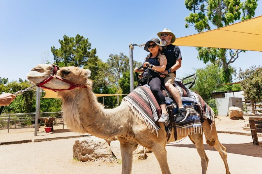 Phoenix Zoo One Day General Admission Ticket - Orangutans, Komodo dragons, and the value of learning as you walk