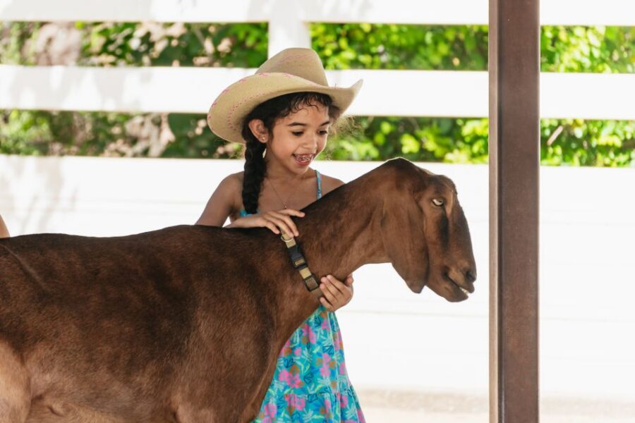 Phoenix Zoo One Day General Admission Ticket - What’s included, and what costs extra: rides and Stingray Bay
