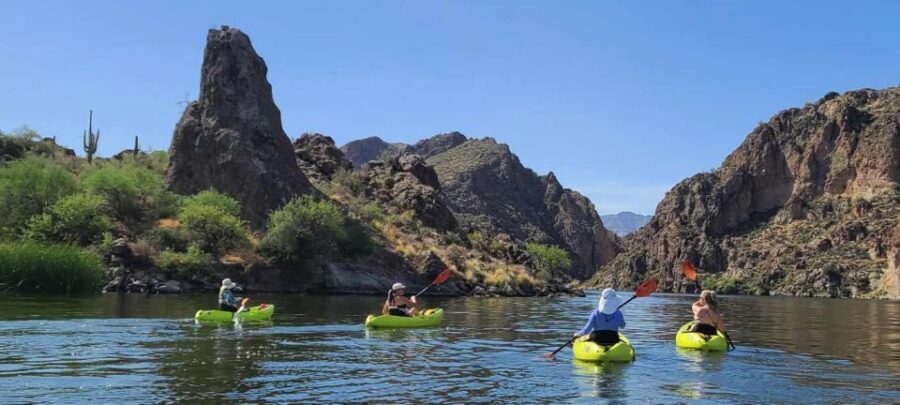 Saguaro Lake: Guided Kayaking Tour - Wildlife Spotting: How to Increase Your Chances Without Stress