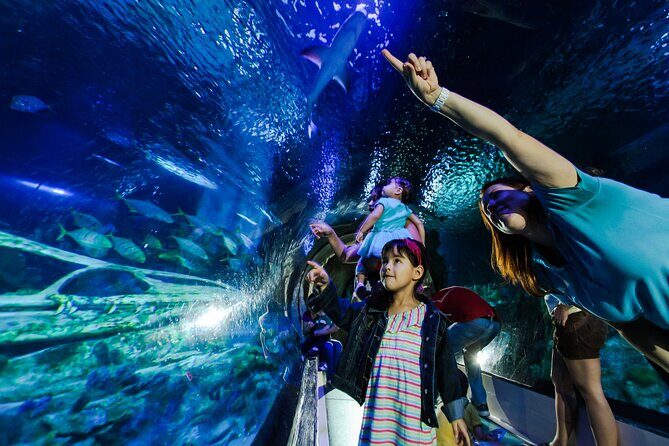 SEA LIFE Aquarium Arizona Admission Ticket - Key points to know before you go