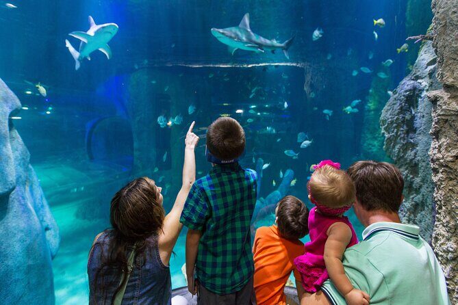 SEA LIFE Aquarium Arizona Admission Ticket - Entering SEA LIFE Aquarium Arizona inside Arizona Mills