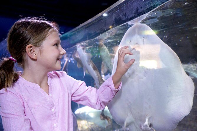 SEA LIFE Aquarium Arizona Admission Ticket - Stop 2 at the aquarium: tunnels, rock pools, and themed habitats