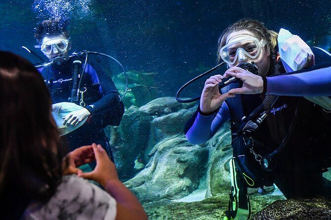 SEA LIFE Aquarium Arizona Admission Ticket - Animals and photo moments: sharks, rays, seahorses, and active tanks